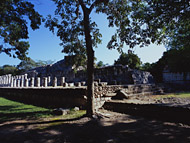 Group of 1000 Columns at Chichen Itza - chichen itza mayan ruins,chichen itza mayan temple,mayan temple pictures,mayan ruins photos